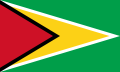 Flag of Guyana.